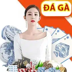 Đá gà