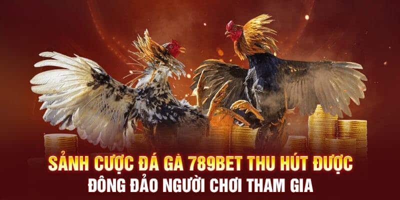 Giới thiệu 789Bet sân chơi đá gà 