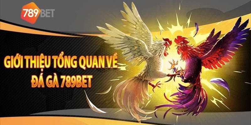 Tổng quan đá gà 789Bet